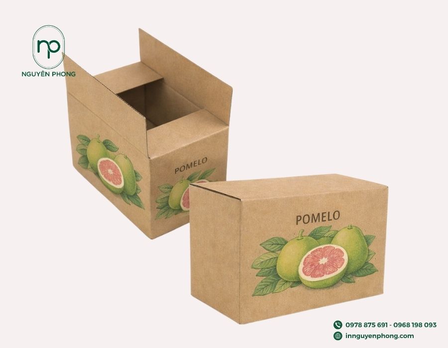 Mẫu in thùng carton đựng bưởi da xanh